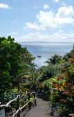 Туры в отель Taveuni Island Resort Туры в отель Taveuni Island Resort