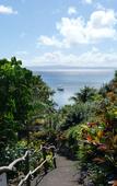 Туры в отель Taveuni Island Resort Туры в отель Taveuni Island Resort