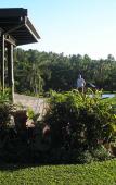 Туры в отель Taveuni Island Resort Туры в отель Taveuni Island Resort