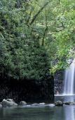 Туры в отель Taveuni Island Resort Туры в отель Taveuni Island Resort