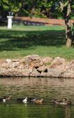 Туры в отель The Bay Beach Club & Port Sigla Туры в отель The Bay Beach Club & Port Sigla