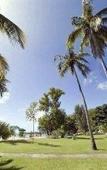 Туры в отель The Calabash Hotel & Villas Туры в отель The Calabash Hotel & Villas