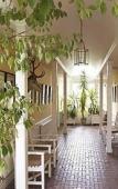 Туры в отель The Cavendish Туры в отель The Cavendish