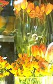 Туры в отель INK Hotel Amsterdam - MGallery Collection Туры в отель INK Hotel Amsterdam - MGallery Collection
