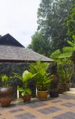 Туры в отель The Datai Langkawi Туры в отель The Datai Langkawi