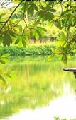 Туры в отель The Legacy River Kwai Resort Kanchanaburi Туры в отель The Legacy River Kwai Resort Kanchanaburi