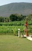 Туры в отель The Oriental Village Chiang Mai Туры в отель The Oriental Village Chiang Mai