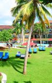 Туры в отель The Palms Hotel Туры в отель The Palms Hotel