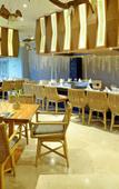Туры в отель TRS Yucatan Hotel Туры в отель TRS Yucatan Hotel