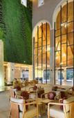 Туры в отель TRS Yucatan Hotel Туры в отель TRS Yucatan Hotel