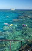 Туры в отель The Three Corners Fayrouz Plaza Beach Resort Туры в отель The Three Corners Fayrouz Plaza Beach Resort