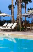 Туры в отель The Westin Imagine Orlando Туры в отель The Westin Imagine Orlando