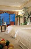 Туры в отель The Westin Tokyo Туры в отель The Westin Tokyo