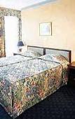 Туры в отель Thistle Piccadilly Туры в отель Thistle Piccadilly