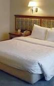 Туры в отель Tong Mao Hotel - Pudong Shanghai Туры в отель Tong Mao Hotel - Pudong Shanghai