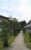 Туры в отель Tourist Settlement Bojana Lux Туры в отель Tourist Settlement Bojana Lux