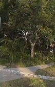 Туры в отель Treasure Beach Hotel Туры в отель Treasure Beach Hotel