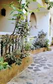 Туры в отель Tropica Bungalow Туры в отель Tropica Bungalow