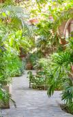 Туры в отель Tropica Bungalow Туры в отель Tropica Bungalow