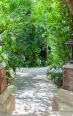 Туры в отель Tropica Bungalow Туры в отель Tropica Bungalow