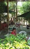 Туры в отель Tropical Garden Lounge Hotel & Resort Туры в отель Tropical Garden Lounge Hotel & Resort