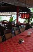 Туры в отель Tropical Garden Lounge Hotel & Resort Туры в отель Tropical Garden Lounge Hotel & Resort