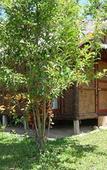 Туры в отель Tropical Garden Lounge Hotel & Resort Туры в отель Tropical Garden Lounge Hotel & Resort