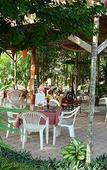 Туры в отель Tropical Garden Lounge Hotel & Resort Туры в отель Tropical Garden Lounge Hotel & Resort
