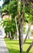 Туры в отель Hotel Tropicana Pattaya Туры в отель Hotel Tropicana Pattaya