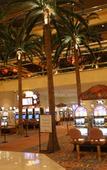 Туры в отель Tropicana Туры в отель Tropicana