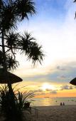 Туры в отель Tropicana Resort Туры в отель Tropicana Resort