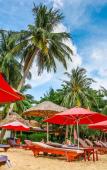 Туры в отель Tropicana Resort Туры в отель Tropicana Resort