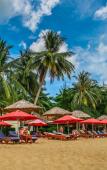 Туры в отель Tropicana Resort Туры в отель Tropicana Resort