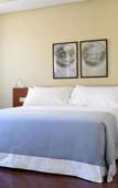 Туры в отель Madrid Chamartin Туры в отель Madrid Chamartin