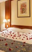 Туры в отель Tryp Guadalajara Туры в отель Tryp Guadalajara