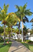 Туры в отель Melia Peninsula Varadero Туры в отель Melia Peninsula Varadero
