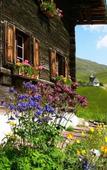 Туры в отель Tschuggen Grand Туры в отель Tschuggen Grand