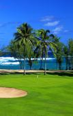 Туры в отель Turtle Bay Resort Туры в отель Turtle Bay Resort