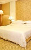 Туры в отель Vanguard Hotel Туры в отель Vanguard Hotel