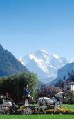 Туры в отель Victoria - Jungfrau Grand hotel & Spa Туры в отель Victoria - Jungfrau Grand hotel & Spa
