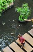 Туры в отель Victoria Angkor Resort & Spa Туры в отель Victoria Angkor Resort & Spa