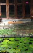 Туры в отель Villa 432 Туры в отель Villa 432
