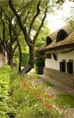 Туры в отель Villa Alexander Туры в отель Villa Alexander