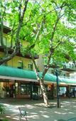 Туры в отель Villa Amerigo Neri Туры в отель Villa Amerigo Neri
