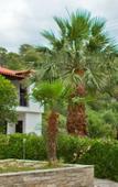 Туры в отель Villa Artemis Туры в отель Villa Artemis