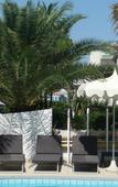 Туры в отель Villa Bianca Туры в отель Villa Bianca
