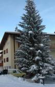 Туры в отель Orovacanze Hotel Villa Emma Туры в отель Orovacanze Hotel Villa Emma
