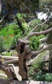 Туры в отель Villa Lara Туры в отель Villa Lara