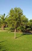 Туры в отель Villa Pami Туры в отель Villa Pami