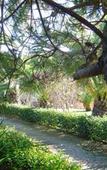 Туры в отель Villa Pami Туры в отель Villa Pami